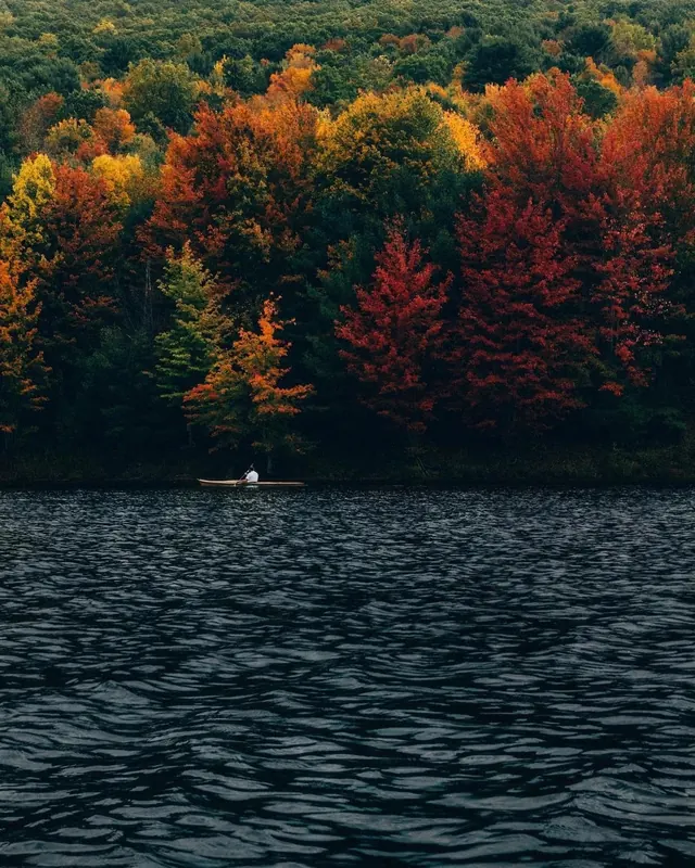 Autumn Forest Lake Landscape, photographic, organic, vibrant