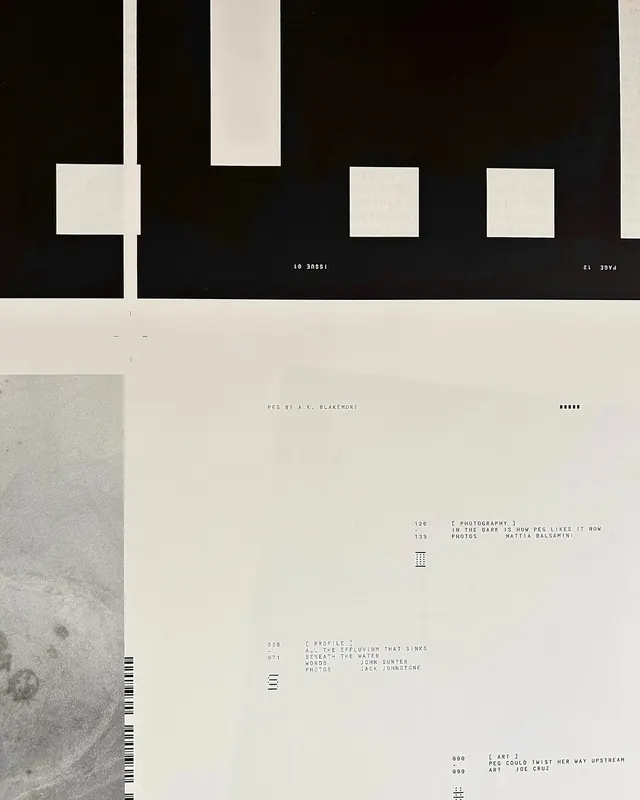 Minimalist Editorial Layout, swiss, minimal, high-contrast