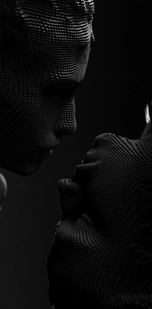 3D Wireframe Portrait Study, abstract, technical, monochrome