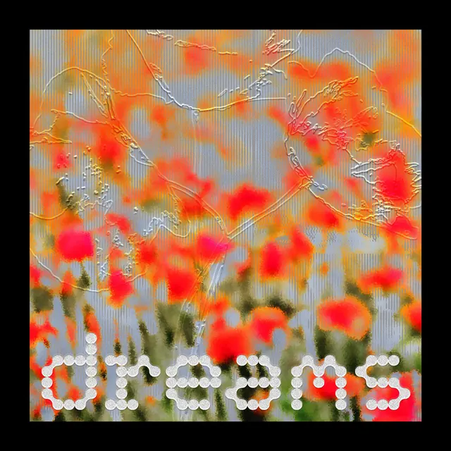 Dreams Typography and Floral Graphic, maximalist, organic, vibrant