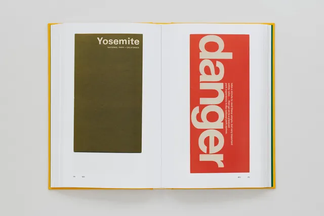 Yosemite and Danger Type Specimen