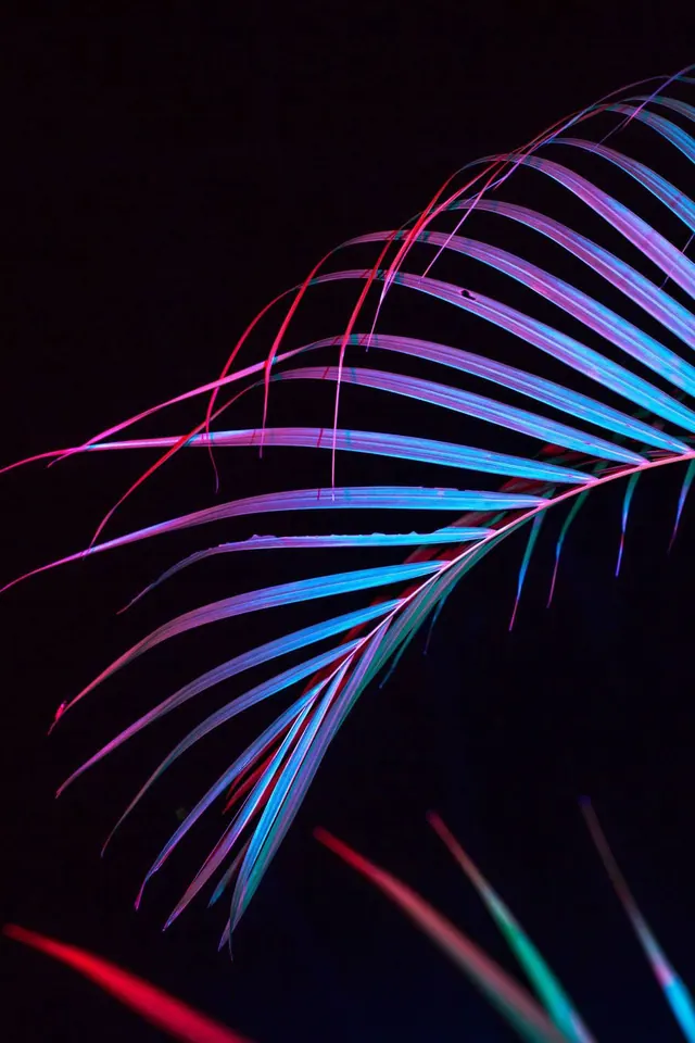 Neon Palm Leaf Graphic, gradient-heavy, abstract, vibrant