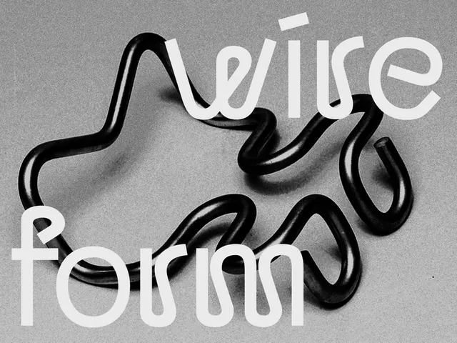 Wireform Typography Concept, minimal, line-art, monochrome