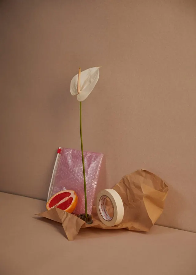 Editorial minimal photograph, editorial, minimal, muted