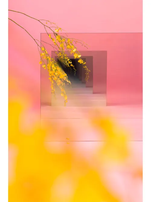 Abstract Floral Composition, minimal, geometric, vibrant