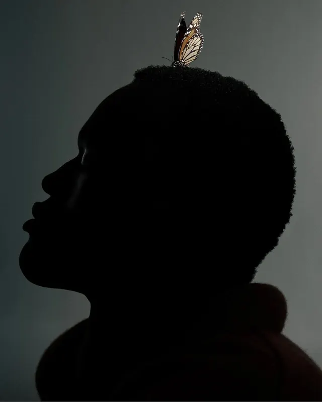 Silhouette with Bird, minimal, monochrome, monochrome
