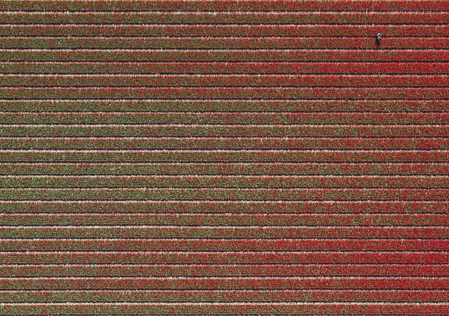 Red and Grey Horizontal Stripe Pattern, minimal, geometric, high-contrast