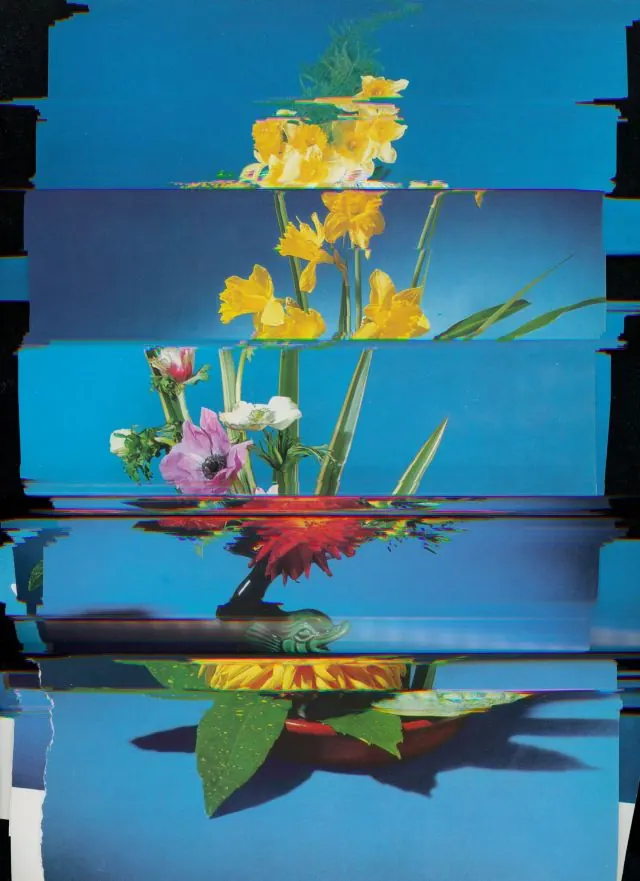 Floral Botanical Collage, maximalist, photographic, vibrant