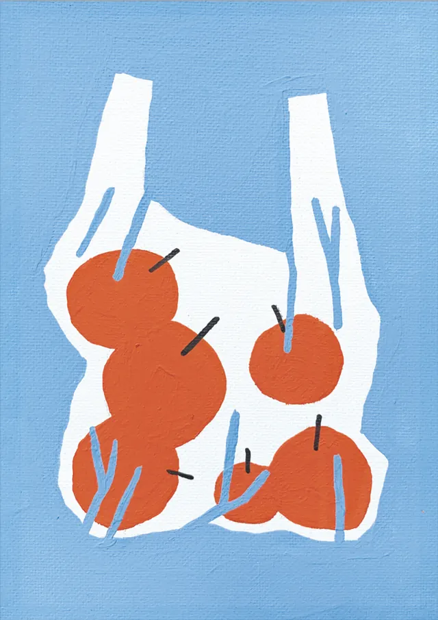 Hands cradling tomato-filled plastic bag illustration, minimal, flat, light