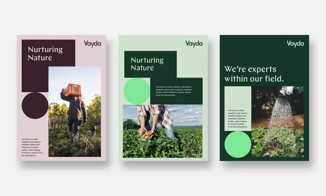 Three-panel agricultural brand showcase, minimal, corporate-clean, light