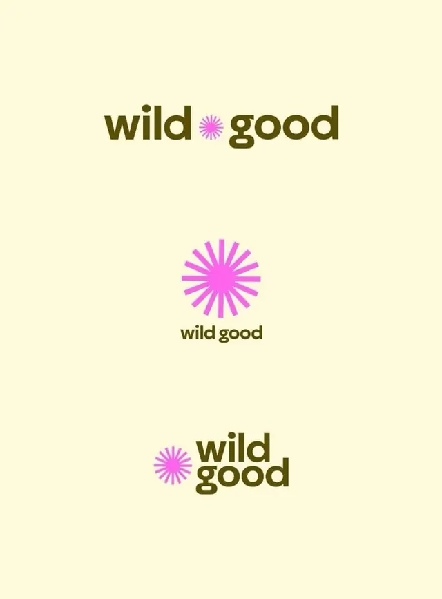 Wild Good wordmark with radiating mark, playful, geometric, neon