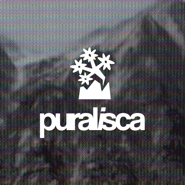 Pluralsca logo with glitch-art background, minimal, geometric, light