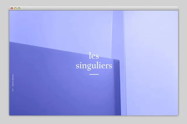 Les Singuliers Identity, minimal, geometric, cool