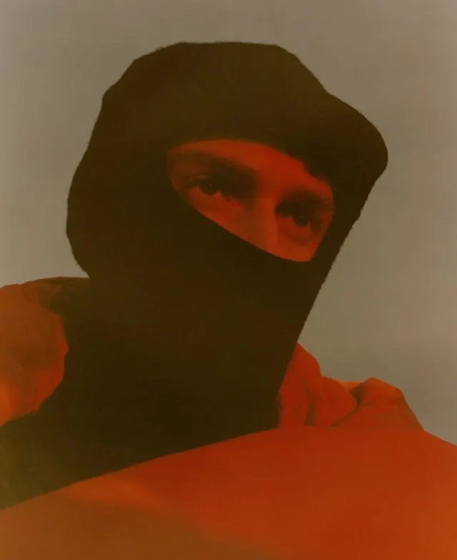Portrait in Veil, minimal, organic, warm
