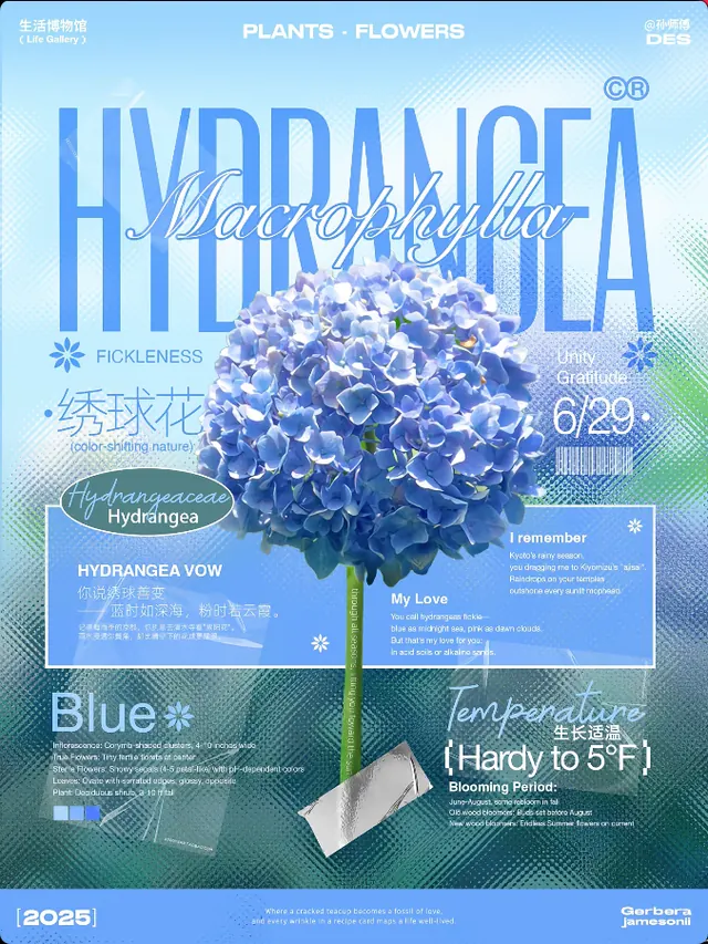 Botanical poster, blue gradient typography, gradient-heavy, minimal, light