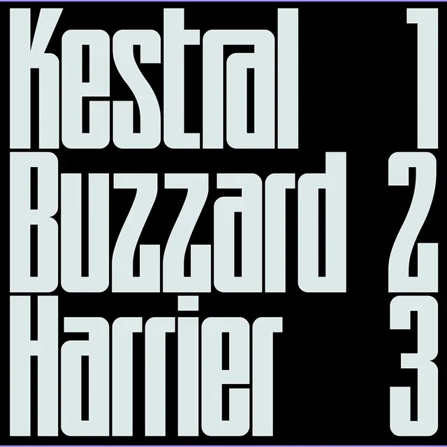 Typography Layout Study, minimal, swiss, monochrome
