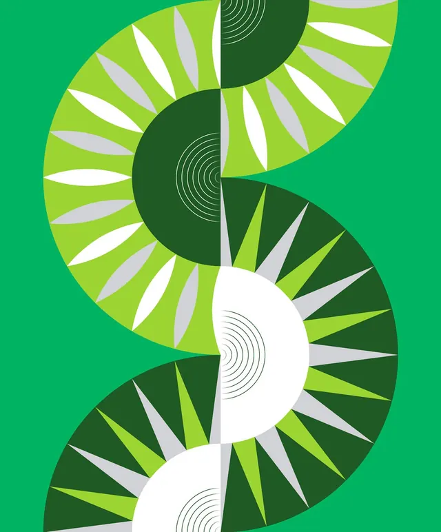 Abstract S-Curve Graphic, geometric, minimal, vibrant
