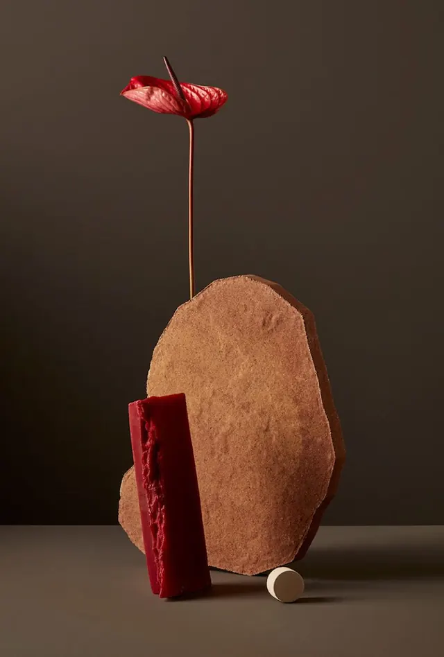 Minimal editorial photograph, minimal, editorial, earthy