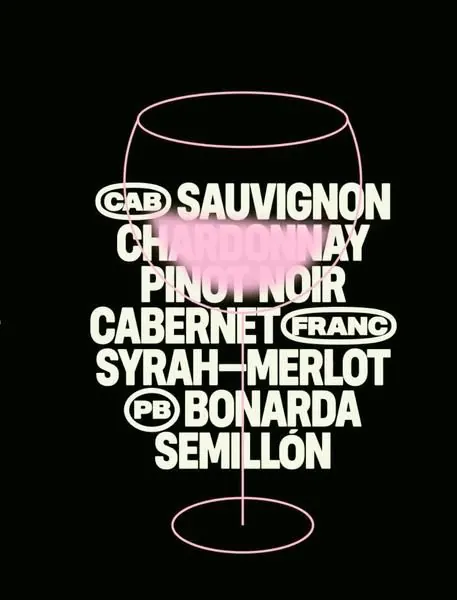 Wine-glass outline type specimen, black-white-pink, minimal, technical, dark