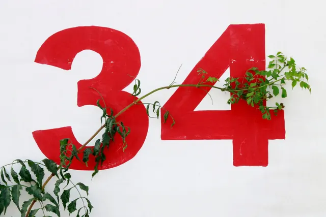 Red Number 34 Graphic