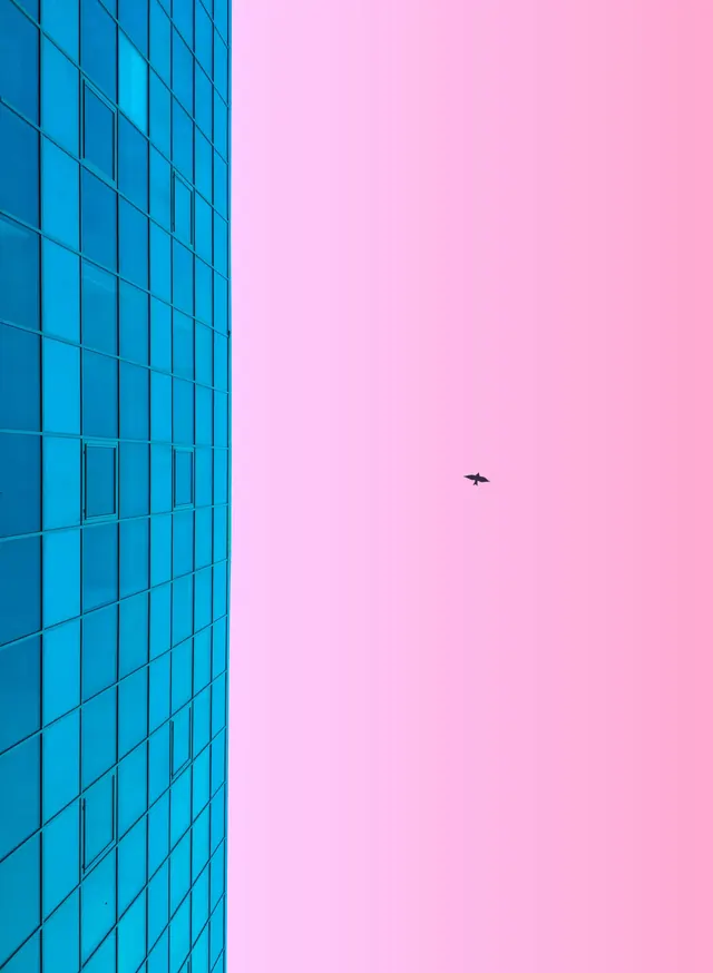 Blue Building and Pink Gradient, minimal, geometric, vibrant