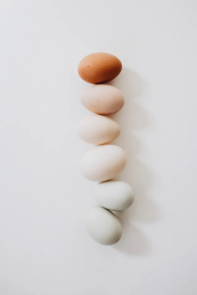 Abstract Organic Shapes Composition, minimal, organic, muted