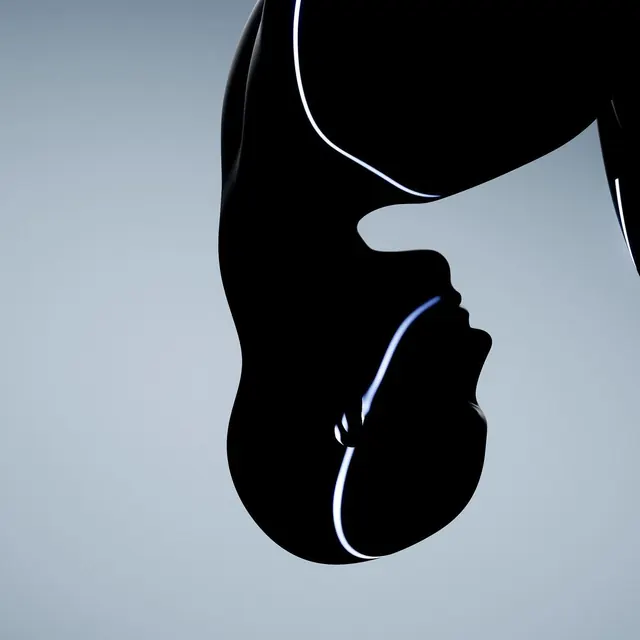 Abstract Silhouette Profile