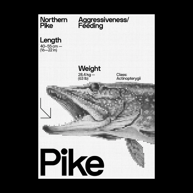 Swiss halftone pike specimen poster, minimal, swiss, dark