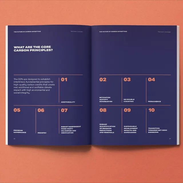 Carbon offset principles grid layout, corporate-clean, data-dense, dark