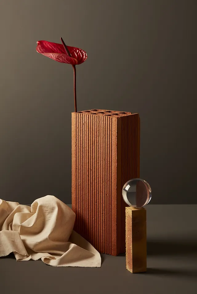 Minimal photographic photograph, minimal, photographic, earthy