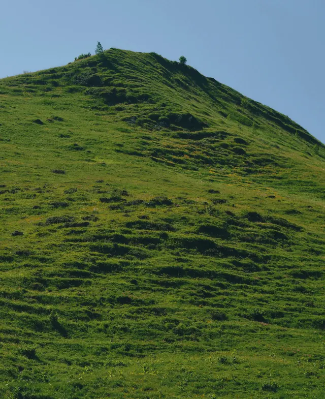 Grassy Hill Landscape, photographic, organic, vibrant