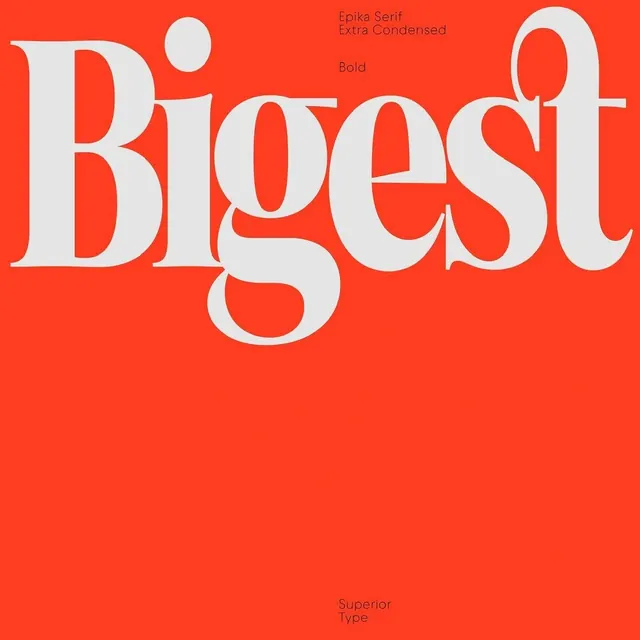 Bigest Type Specimen