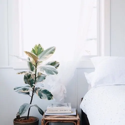 Minimalist Bedroom Interior, minimal, light-mode, light