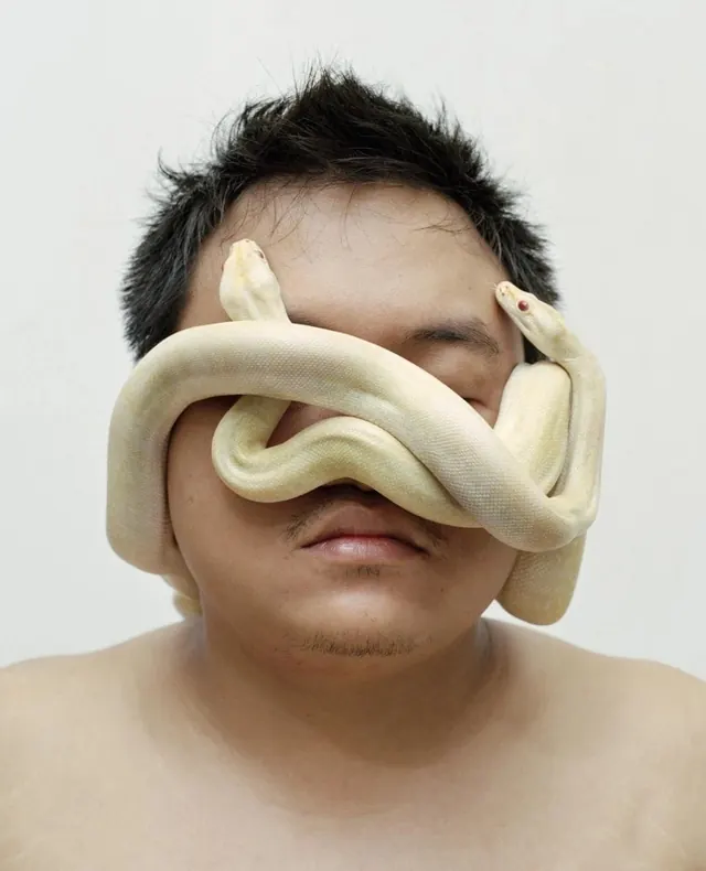 Surrealist Face with Snake, organic, photographic, light