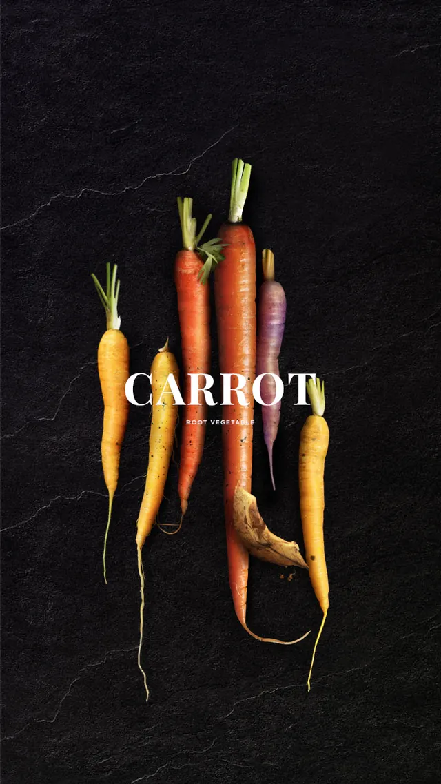 Carrot Brand Identity, minimal, organic, dark