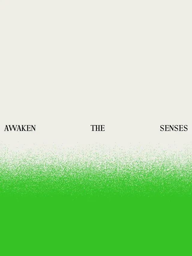 Type specimen divider with emerald noise gradient, minimal, light