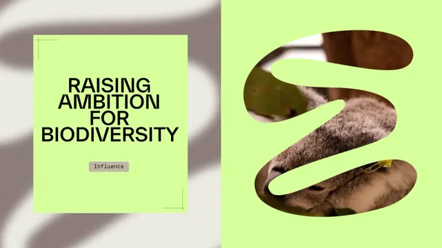 Environmental nonprofit campaign with organic cutout shapes, minimal, organic, light