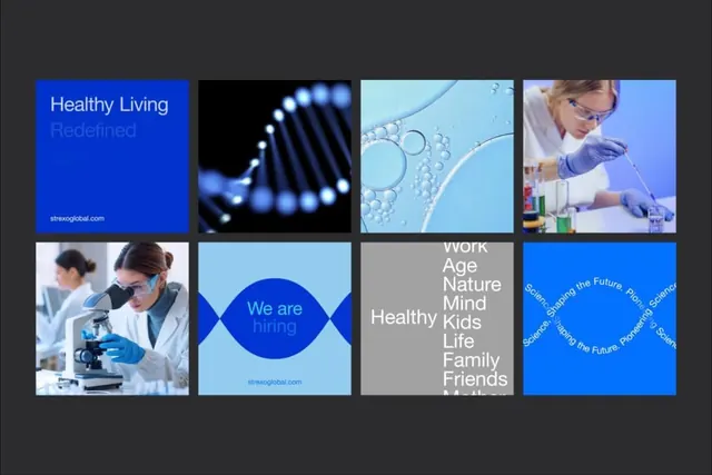 Strexo health grid: blue branding system with lab and lifestyle imagery, minimal, corporate-clean, light