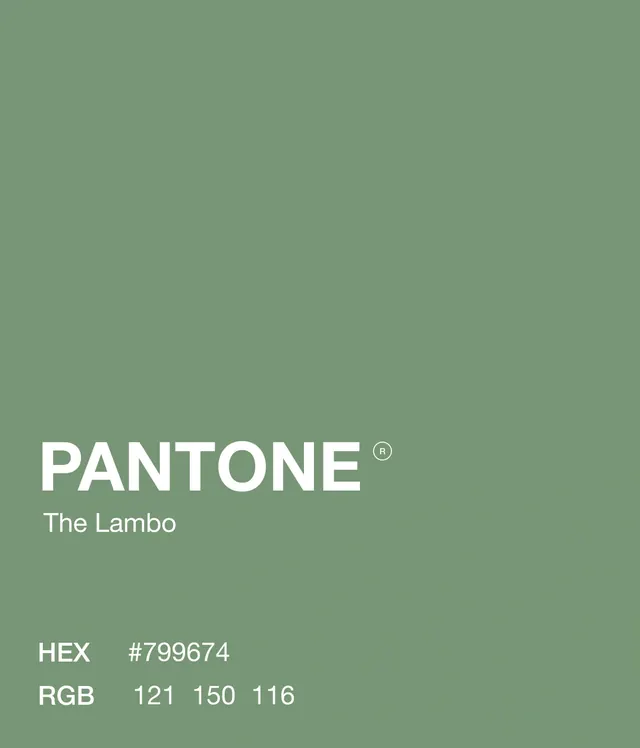 Pantone color swatch specimen, minimal, swiss, light