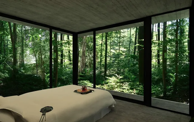 Minimalist Forest Interior, minimal, luxury, muted