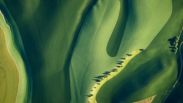 Abstract Green Fluidity, organic, abstract, vibrant