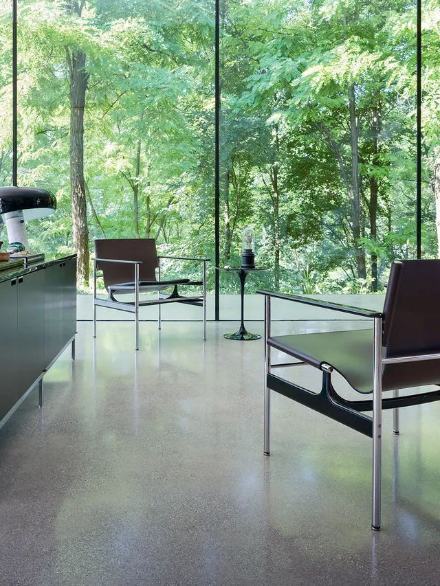Modern Interior with Forest View, minimal, organic, light