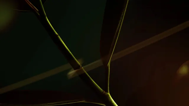 Abstract Light Streaks, minimal, dark-mode, dark