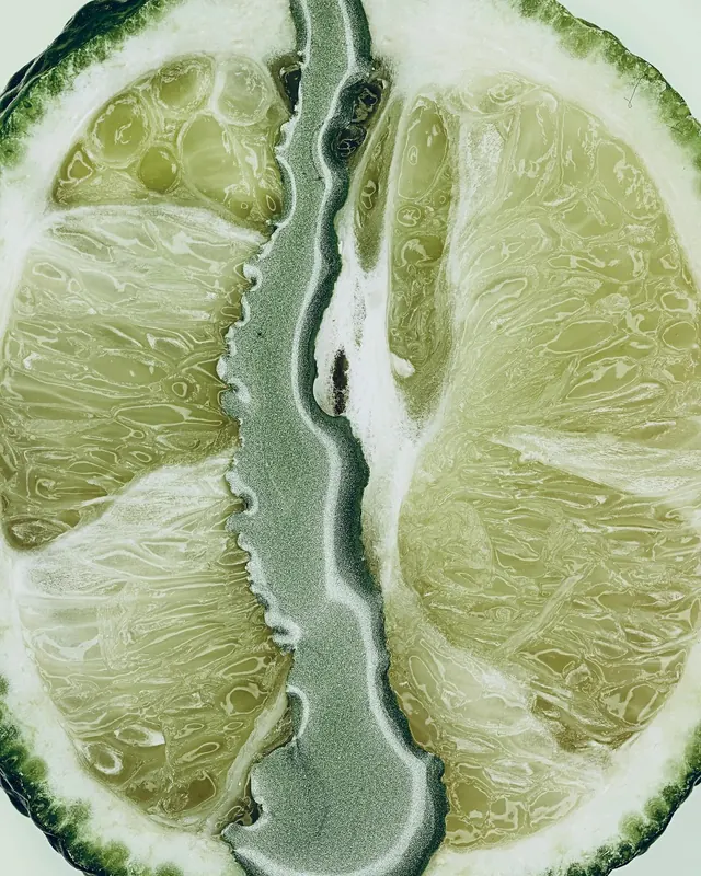Macro Lime Slice Abstract, organic, photographic, vibrant