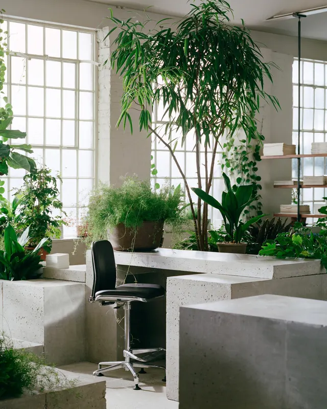 Modern Interior with Indoor Greenery, minimal, light-mode, light