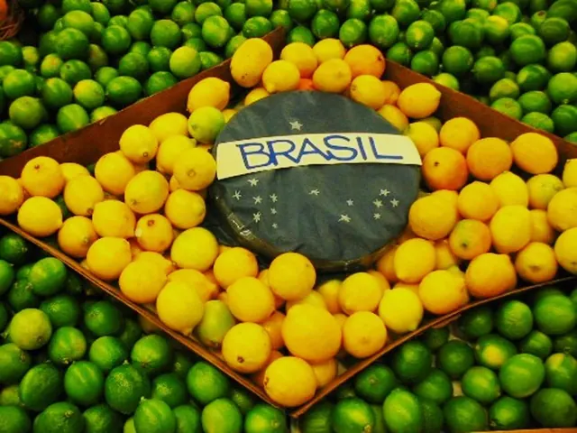 Brasil Fruit Pattern