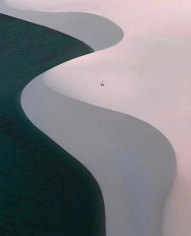 Abstract Fluidity Composition, minimal, organic, muted
