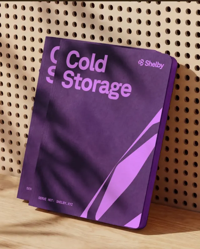 Shelby crypto storage protocol brand identity (slide 9)