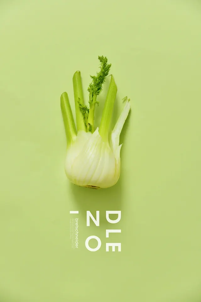 Celery Branding Identity, minimal, organic, light