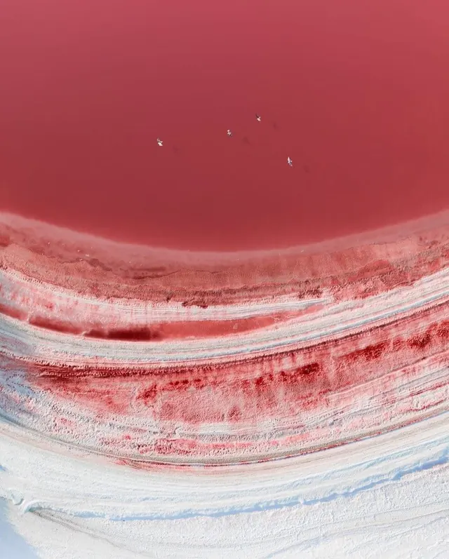 Abstract Fluid Texture, organic, abstract, vibrant